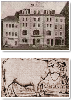Hotel Residence Würzburg - History