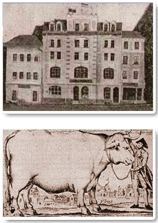 Hotel Residence Würzburg - Geschichte